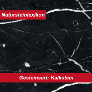 Natursteinlexikon erklärt die Gesteinsart Kalkstein